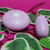 Bullet Mini Vibrador 7 Modos de Vibração - Ame-se.sexshop