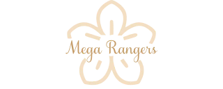 MEGA RANGERS - Atacado Moda Feminina Brás online 
