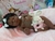 Bebê Emily - Pandinha Maternidade Reborn