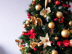 Árbol De Navidad Pinito Deluxe 70 Cm - Pettish Bazar