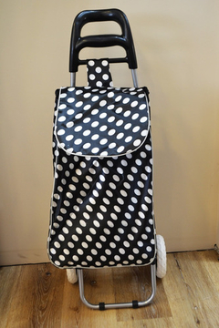 Changuito Carrito De Compras Decorado - Pettish Bazar