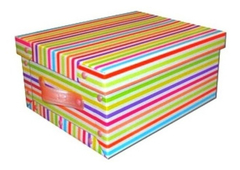 Caja Organizadora Con Manija Mediana Microbox - comprar online