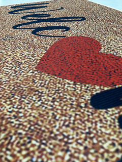 Alfombra Felpudo De Entrada Diseño Base Antideslizante en internet