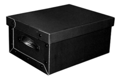 Caja Baulera Organizadora Mediana Negra Pettish Online
