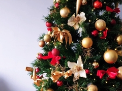 Arbol De Navidad Pino Verde 45 Cm Fiestas Pettish Online - Pettish Bazar