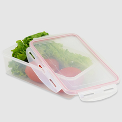 Contenedor Hermetico Rectangular 0,60 Lt Pettish Online - comprar online