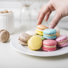 Placa Silicona Plancha Antiadherente Horno SiliPad Macarons - Pettish Bazar