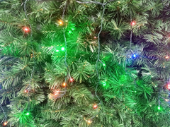 Luz Cortina Luces Led Guirnalda Red Navidad Fiestas Pettish - Pettish Bazar