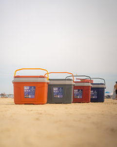 Imagen de Conservadora Heladera Portatil Termolar 32 Lts Playa Camping