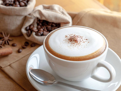 Imagen de Espumador Leche Acero Manual 400cc Cappuccino Pettish Online