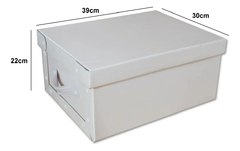 Caja Baulera Organizadora Mediana Blanca X6 Con Manija en internet