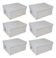 Caja Baulera Organizadora Mediana Blanca X6 Con Manija