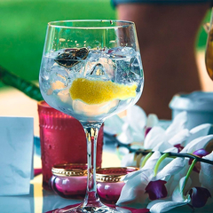 Copa Gin Tonic Copon Ginebra Vidrio Tragos X4 Pettish Online - tienda online