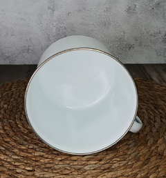 Imagen de Jarro Hervidor Enlozado N° 10 Colores Pettish Online