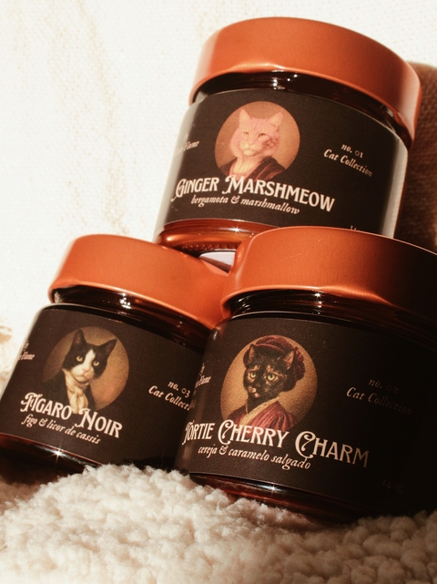 Kit Cat Collection — A Biblioteca Completa