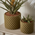 Cachepot Verde Musgo em Cimento Spike - Tamanho M
