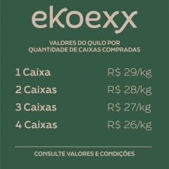 eKoexx Lisa(Varejo) 35X50CM (10kg) = 520 Unidades - Embalagens Sustentáveis