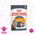 Royal Canin Pouch Gatos - Intense Beauty Jelly - x 85gr