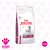 Royal Canin - Renal Dog x 1,5kg