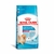 Ração - Royal Canin Mini Indoor Puppy - 2,5KG