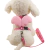 Peitoral Anjinho - M - K9 PET SHOP