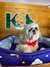 CAMA CLIMA NUVENS TAM.G MASCOTE - comprar online