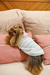 CASACO FASHION LISTRAS PINK E FANNY GG