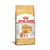 Ração - Royal Canin Pomeranian Adult - 2,5KG