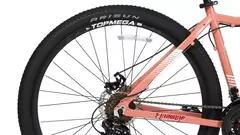 Imagen de BICICLETA MTB TOPMEGA FLAMINGO R29 21VEL ROSA ARENA/FUCS XS