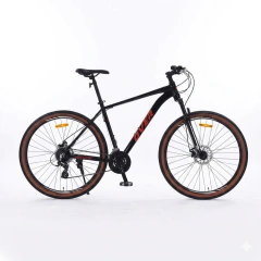 BICICLETA R29 OVER FORTIS GT TALLE XL