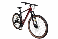 BICICLETA REMBRANDT R 29 ALUMINIO VENTURA 2.0 24V - comprar online