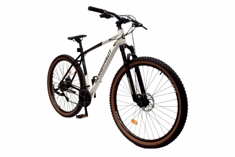 BICICLETA REMBRANDT R29 ALUMINIO VENTURA 2.0 24V