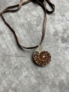 Collar Amonita