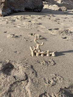Candelabro sea lover - LULA BY THE SEA