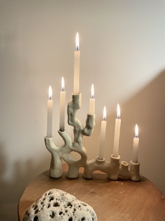 Candelabro sea lover