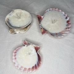 Vela Shell Rosa