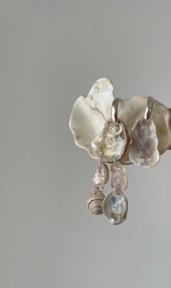 Aros Nereida