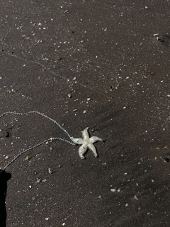 Collar estrella de miel - comprar online