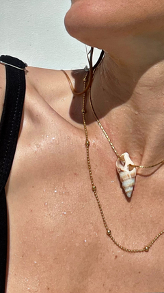 Collar Shell honey