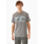 Remera University North Carolina Gris Claro Mistral