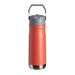 Garrafa Térmica 700ml na internet