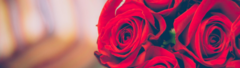 Banner da categoria  LOVE ME TENDER 2023