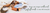 Imagem do banner rotativo Studio Terra Design