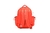 MOCHILA NEXT EXPERIENCE CHIMOLA (M162) - comprar online