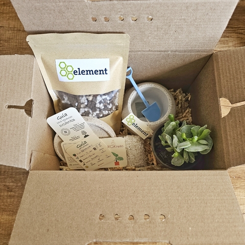 Kit "Mi primera planta"