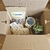 Kit "Mi primera planta"