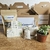 Kit "Mi primera planta" - comprar en línea