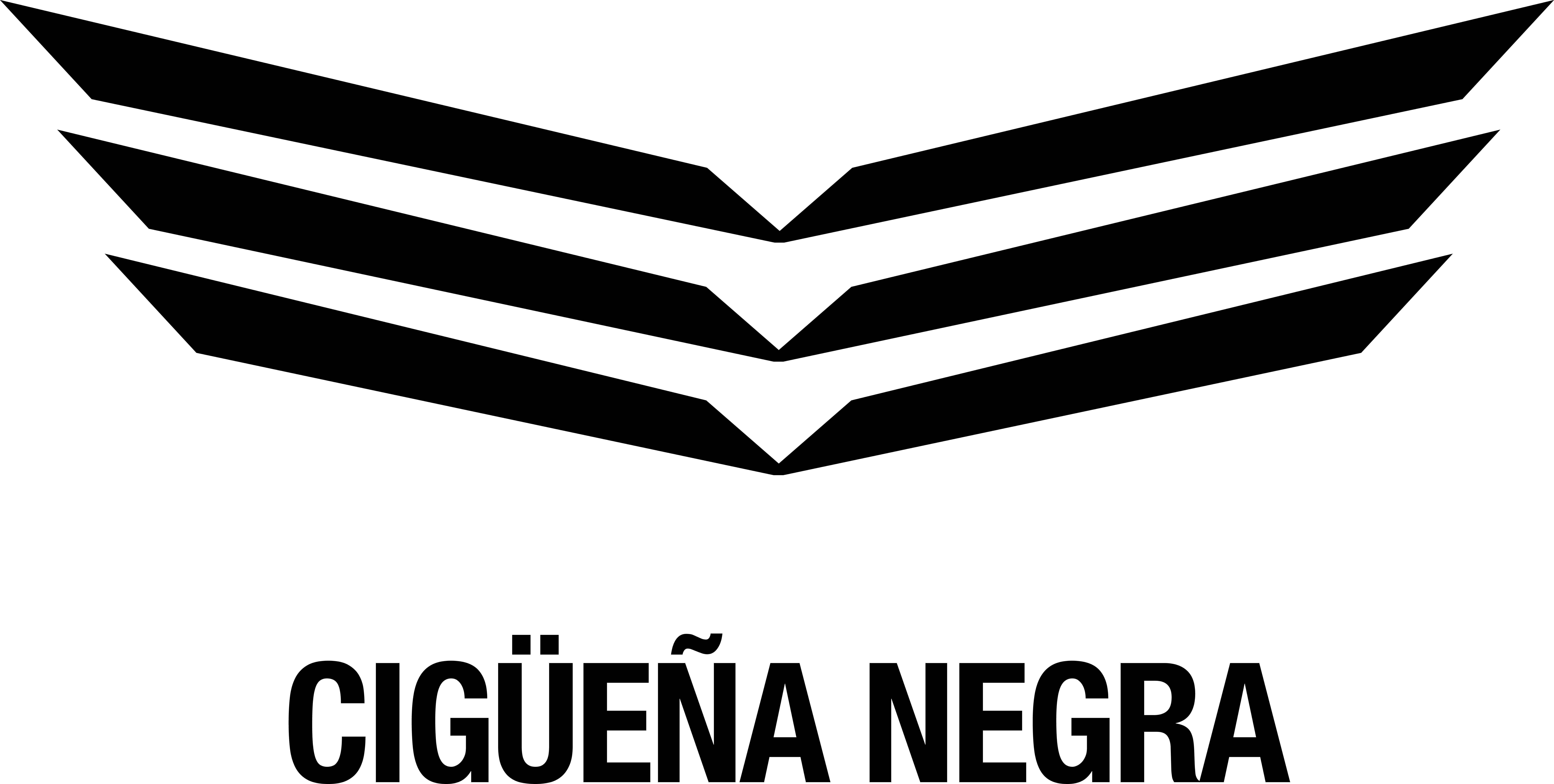 Cigüeña Negra