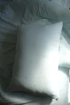 Almohadon nube en internet