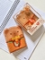 Mini fichário capivara